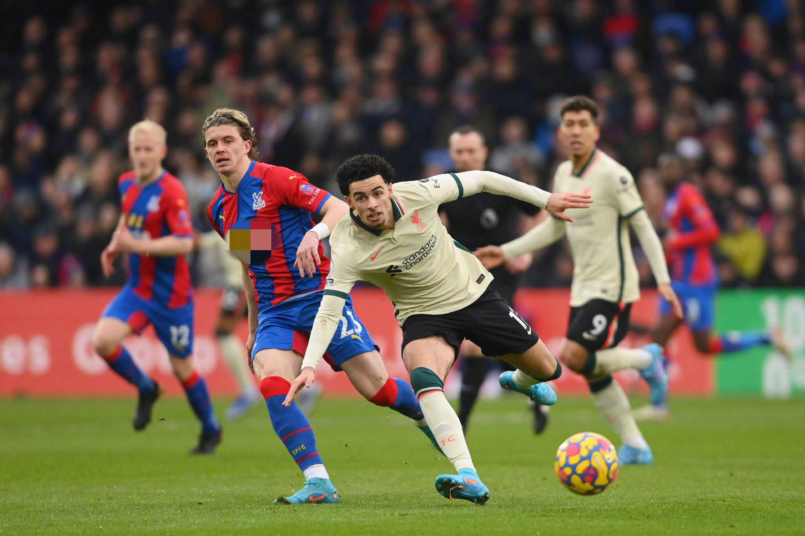 爱情因对比 爱情因对比